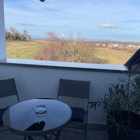 Vila Milka - Balkon - Besplatan Parking - Samostalna Prijava Karlovac Bagian luar foto